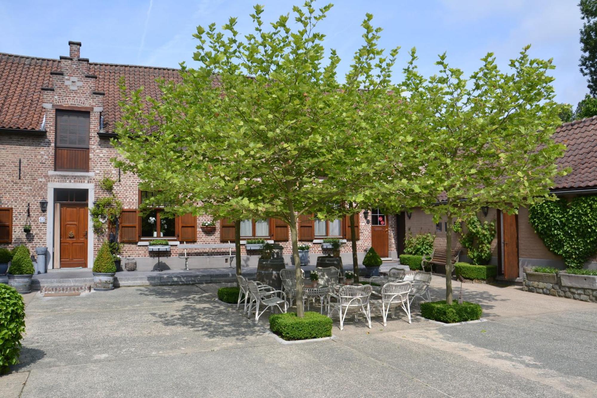 B&B Hof Te Spieringen Vollezele Ngoại thất bức ảnh